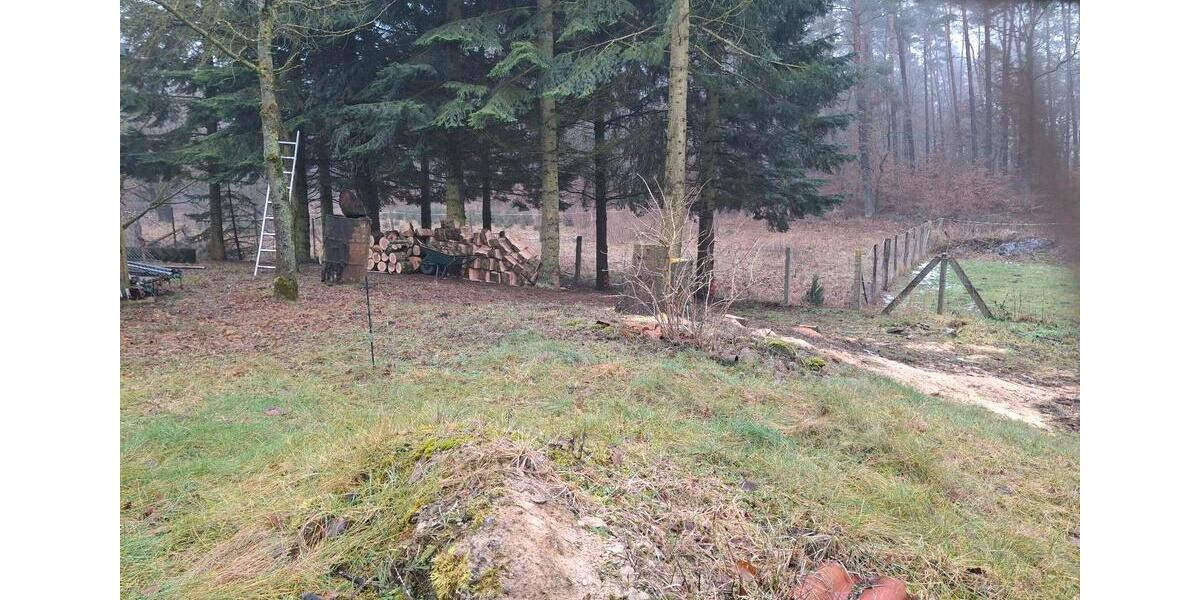 Bauernhaus, Landhaus Märkisch Linden - 14 Zimmer, 210 m&sup2;, 590.000&euro; | Angebot:24559540