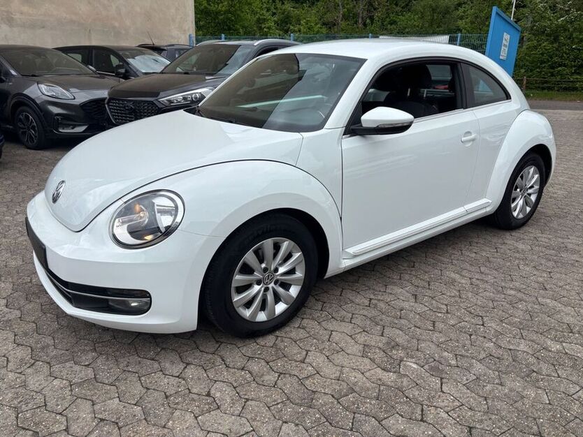 Beetle