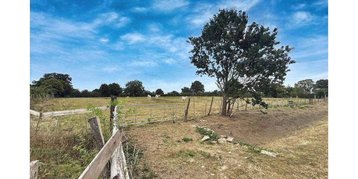 Grundstück Neustadt Mardorf - 69.000&euro; | Angebot:26438684