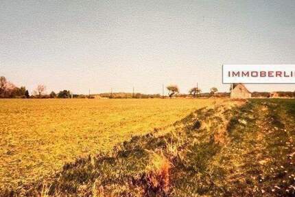 Grundstück Marlow Neu Guthendorf - 25.000&euro; | Angebot:25245099