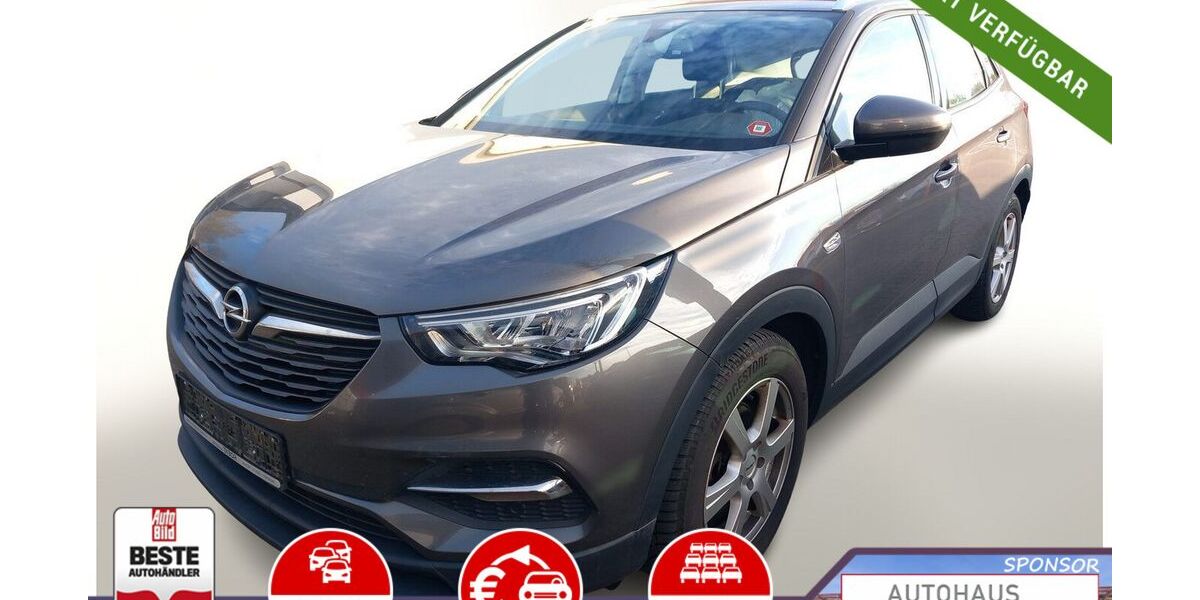 Opel Grandland (X) 97.750 km 13.788 &euro; Kehl 77694