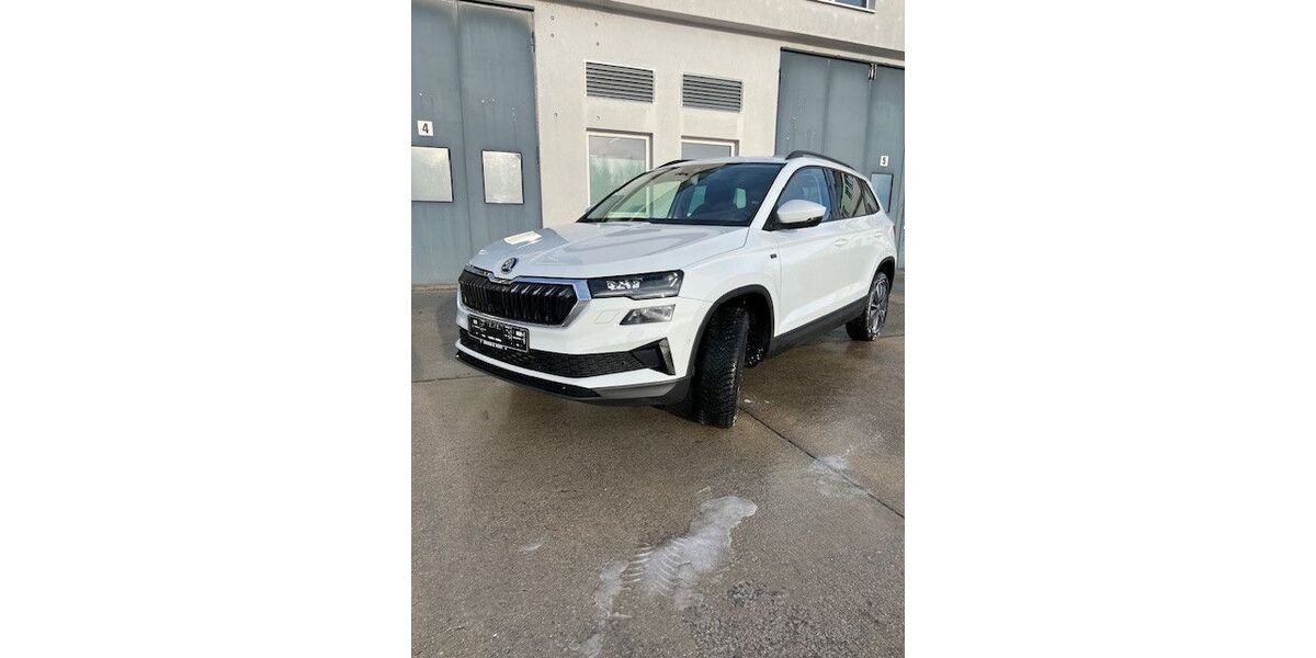 Skoda Karoq 25.116 km 30.990 &euro; Schneeberg 08289