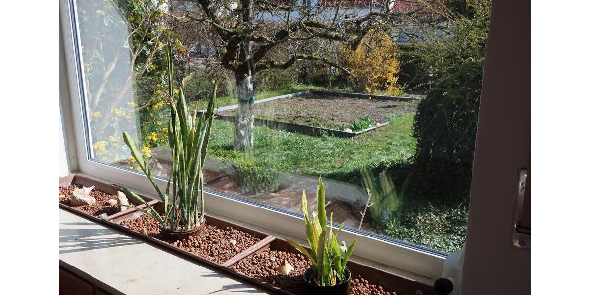 Zentral gelegnes Idyll mit viel Grün für die ganze Familie 9 zimmer