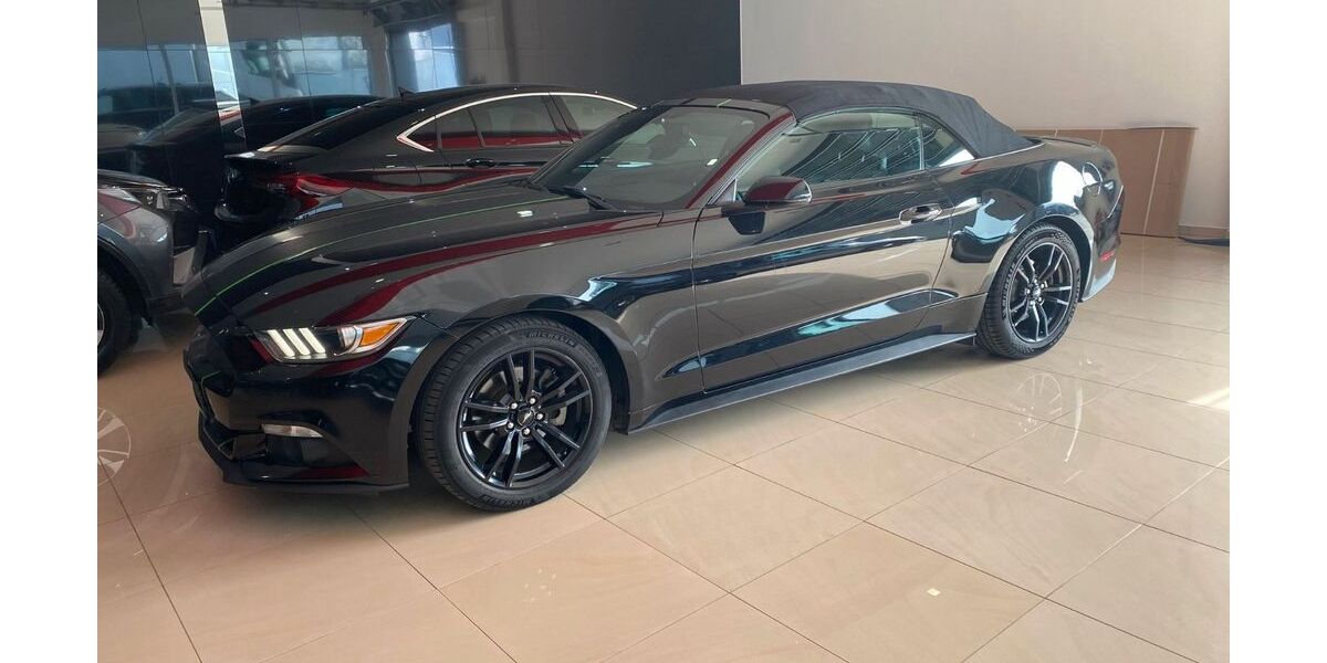 Ford Mustang 83.000 km 14.700 &euro; Kranenburg 47559