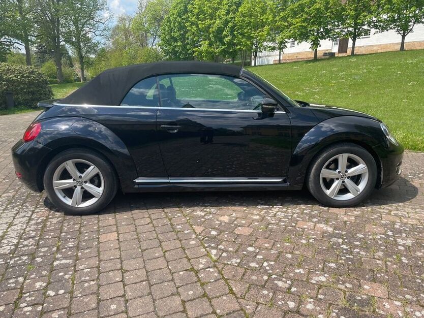 Beetle