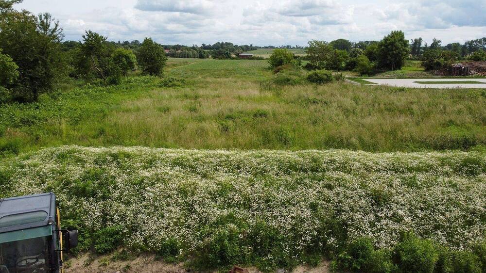 Baugrundstücke für Doppelhäuser in Taucha! zimmer