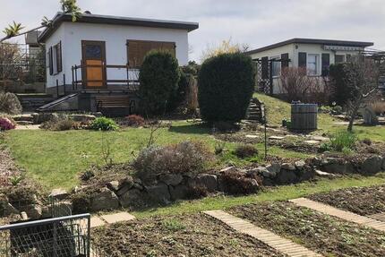 Grundstück Dresden Blasewitz - 3.000&euro; | Angebot:26375531