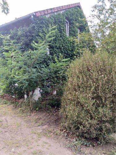 Einfamilienhaus Lüneburg Ebensberg - 880.000&euro; | Angebot:26059792