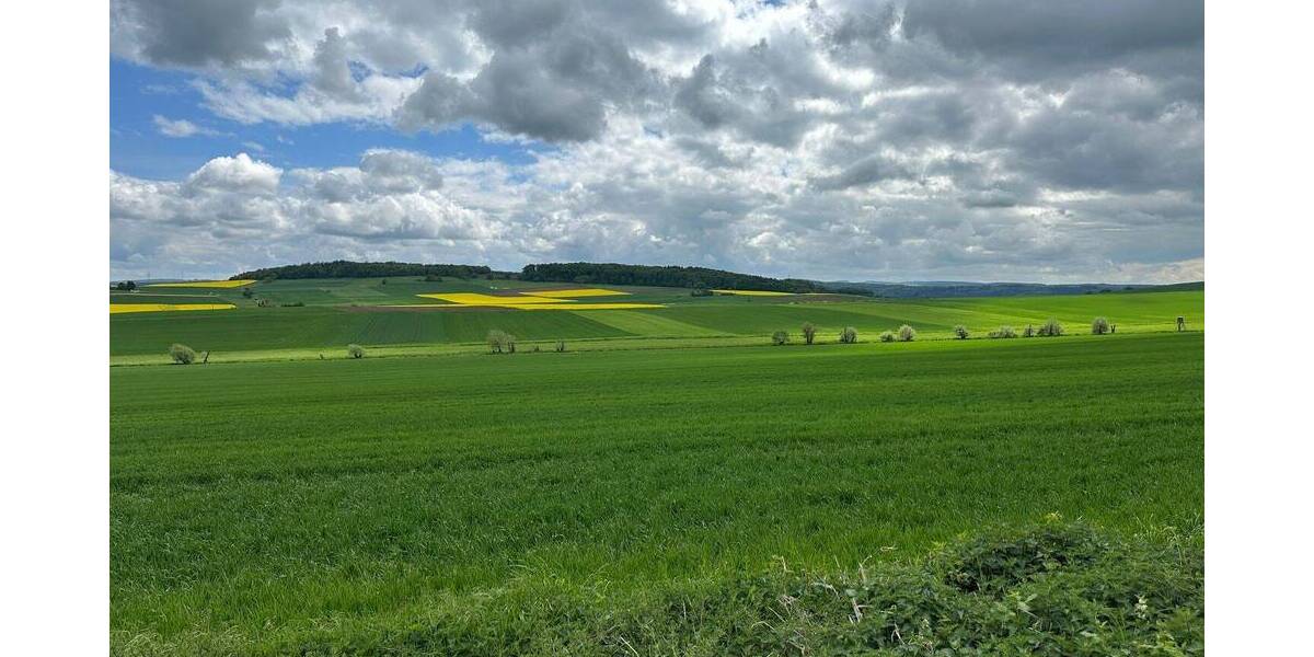 Mehrfamilienhaus, Wohnhaus Homberg (Efze) Dickershausen - 1 Zimmer, 290 m&sup2;, 165.000&euro; | Angebot:26583300