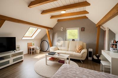 260 M² WOHNFLÄCHE, 7 ZIMMER, WERKSTATT INKLUSIVE 7 zimmer