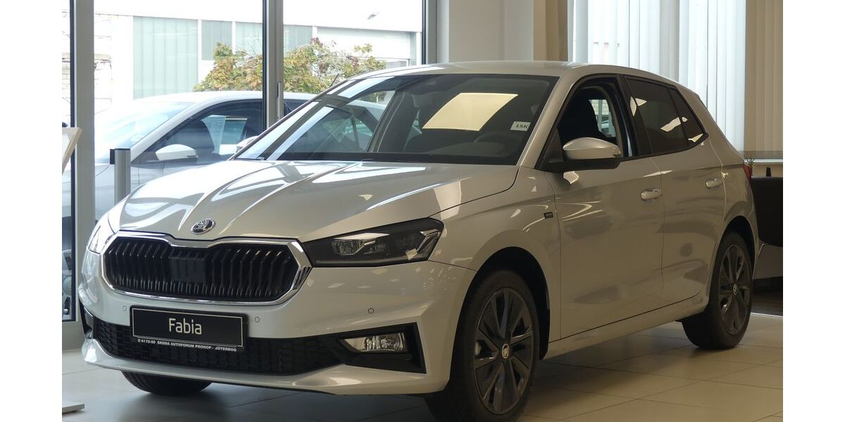 Skoda Fabia 1.100 km 26.490 &euro; Jüterbog 14913