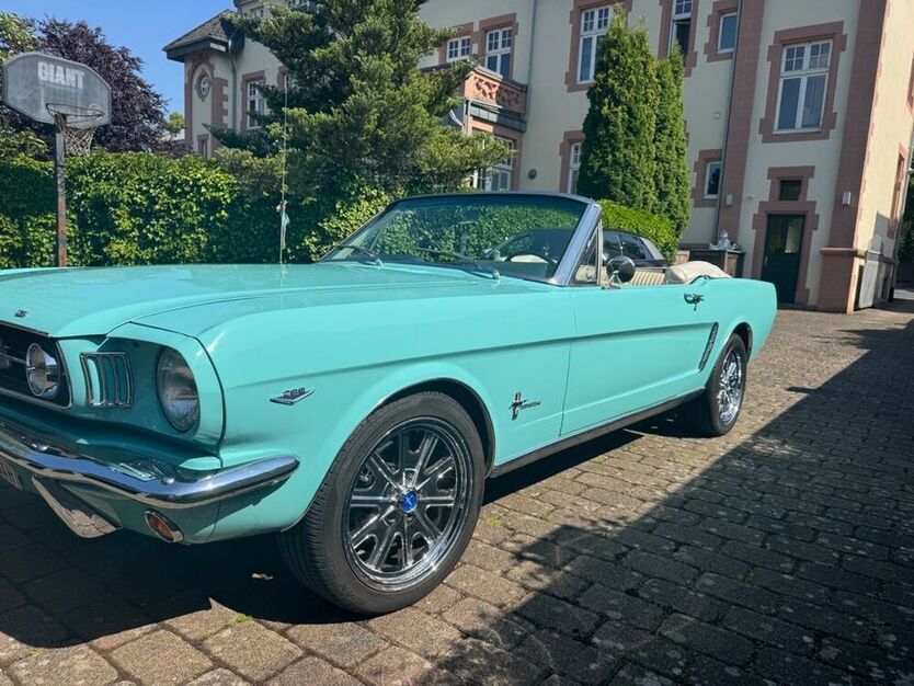 Mustang