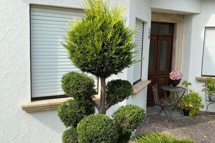 Wohnung Bamberg Bamberg-Ost - 1 Zimmer, 35 m&sup2;, 640&euro; | Angebot:24350813