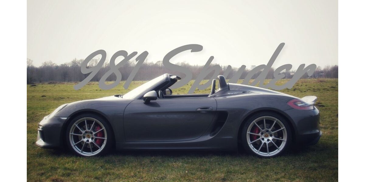Porsche Boxster 34.000 km 95.981 &euro; Lübeck 23552