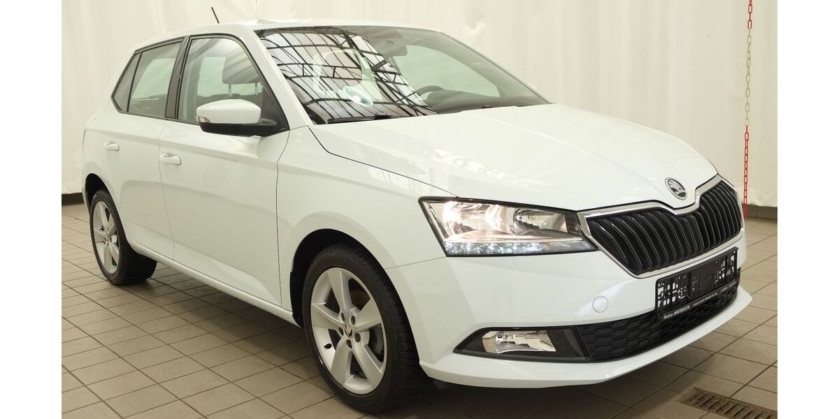 Skoda Fabia 15.700 km 11.500 &euro; Greiz 07973