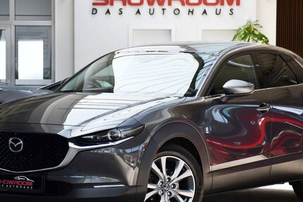 Mazda CX-3 109.890 km 15.990 &euro; Waghäusel 68753