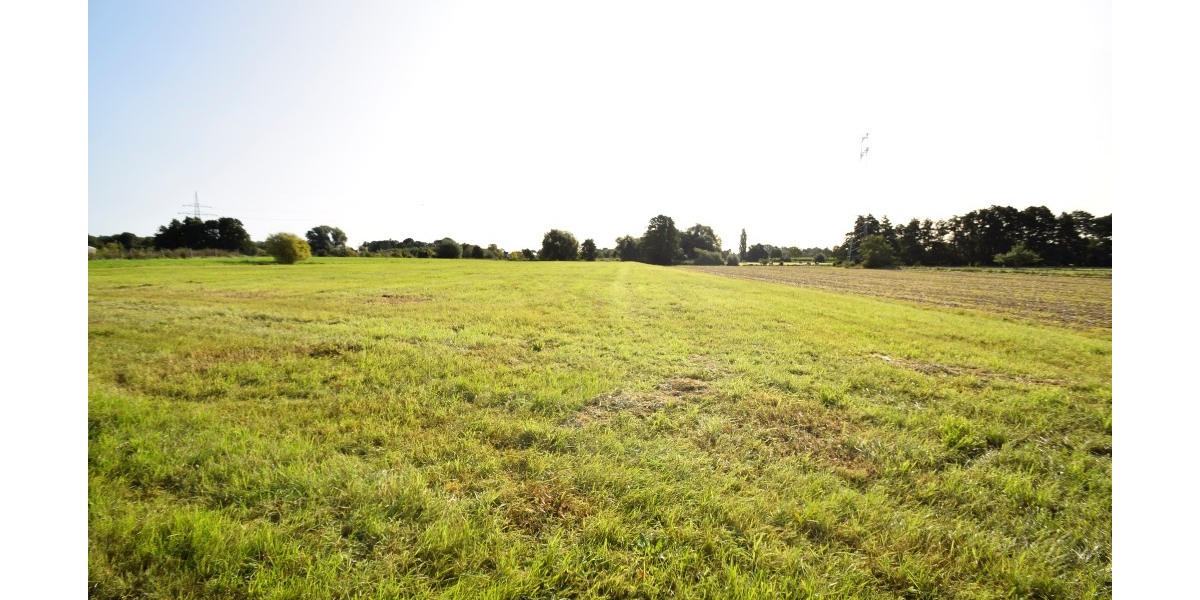 Landwirtschaftliche Fläche zu verkaufen Verpachtung als Weide möglich Grundstück komplett eingezäunt zimmer