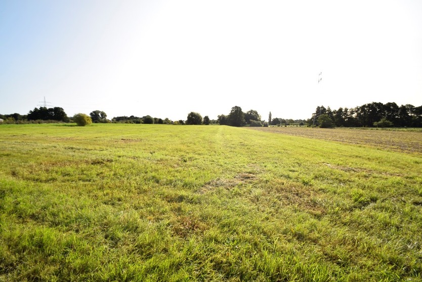 Landwirtschaftliche Fläche zu verkaufen Verpachtung als Weide möglich Grundstück komplett eingezäunt zimmer
