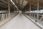 Bauernhaus, Landhaus Pellworm - 7 Zimmer, 172 m&sup2;, 349.000&euro; | Angebot:25672660