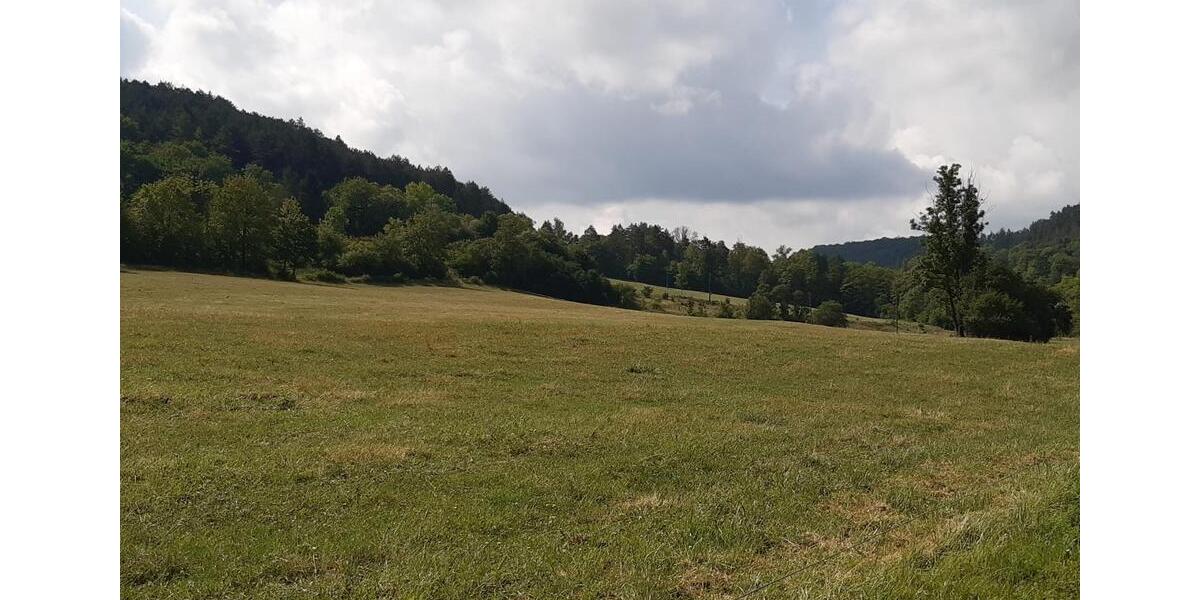 Einfamilienhaus Plaue - 3 Zimmer, 48 m&sup2;, 10.300&euro; | Angebot:27279720