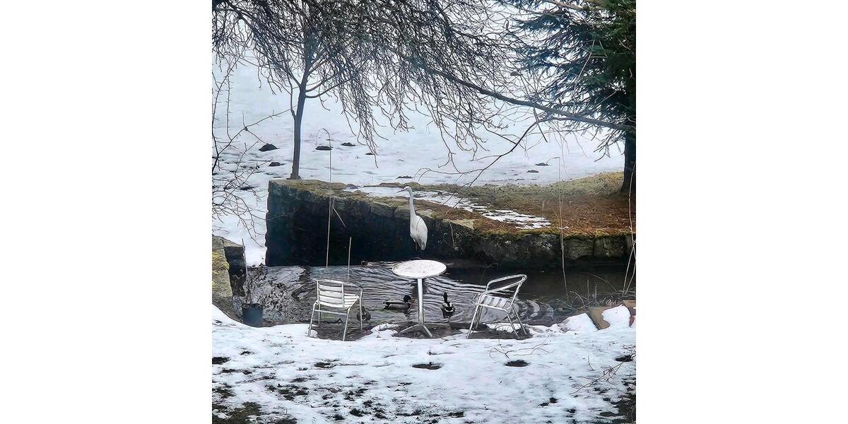 Mehrfamilienhaus, Wohnhaus Zell im Fichtelgebirge - 9 Zimmer, 240 m&sup2;, 240.000&euro; | Angebot:26421543