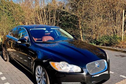 Jaguar XF 196.000 km 6.500 &euro; Hamburg 21077