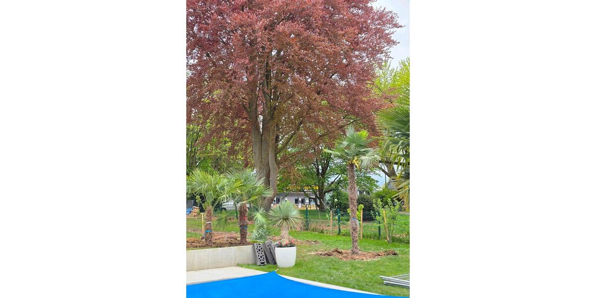 Erdgeschoßwohnung Dortmund Brackel - 3 Zimmer, 79 m&sup2;, 1.750&euro; | Angebot:26291754