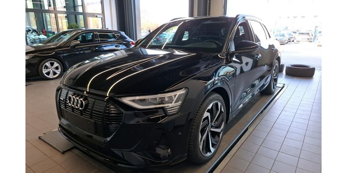 Audi e-tron 55.390 km 35.990 &euro; Hamburg 22047
