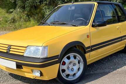 Peugeot 205 136.000 km 9.000 &euro; Wölpinghausen 31556