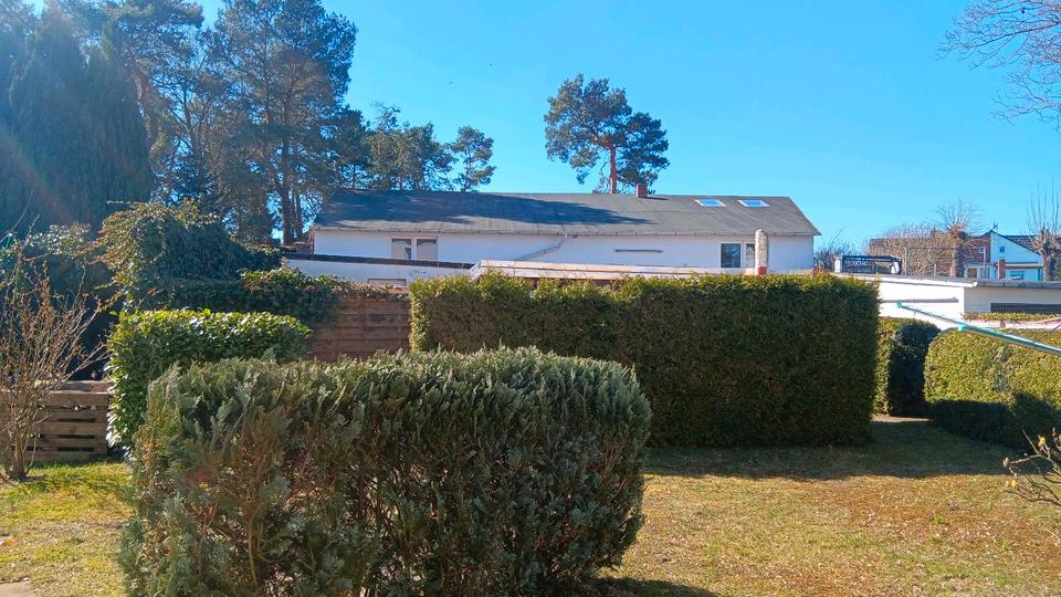 Mehrfamilienhaus, Wohnhaus Wittenberge - 600.000&euro; | Angebot:23872673