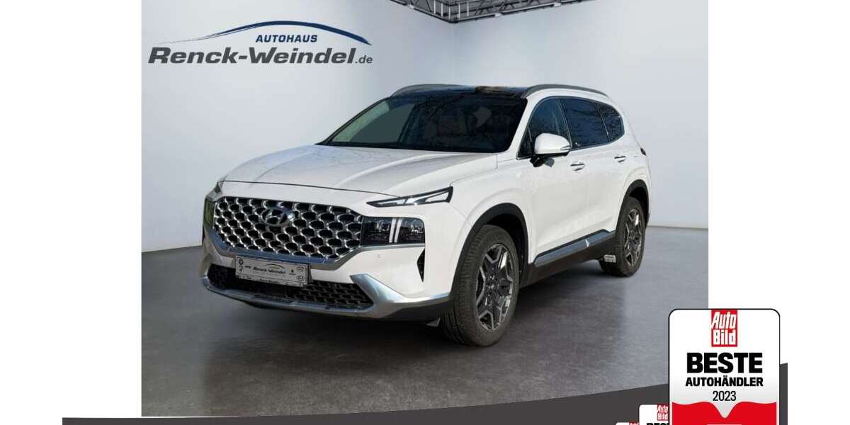 Hyundai SANTA FE 26.933 km 32.989 &euro; Ludwigshafen 67071