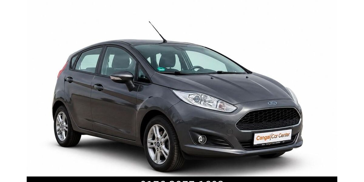 Ford Fiesta 115.921 km 5.000 &euro; Wedemark 30900