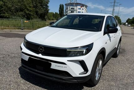 Opel Grandland (X) 261.000 km 8.999 &euro; lahr 77933