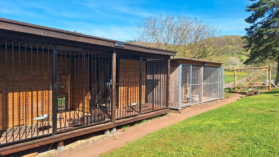 Bungalow Bausendorf - 5 Zimmer, 143 m&sup2;, 1.300&euro; | Angebot:26368367
