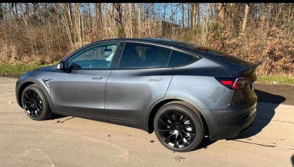 Model Y