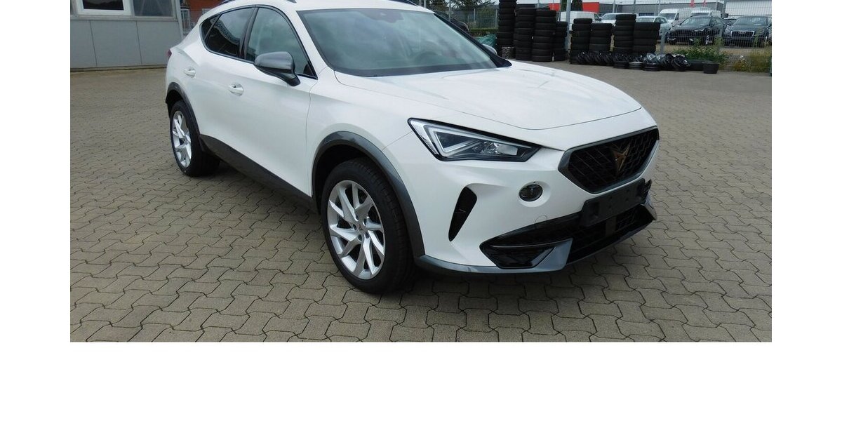Cupra Formentor 1.5 TSI BMT Klima LED Alu 18.400 km 20.390 &euro; Vordorf 38533