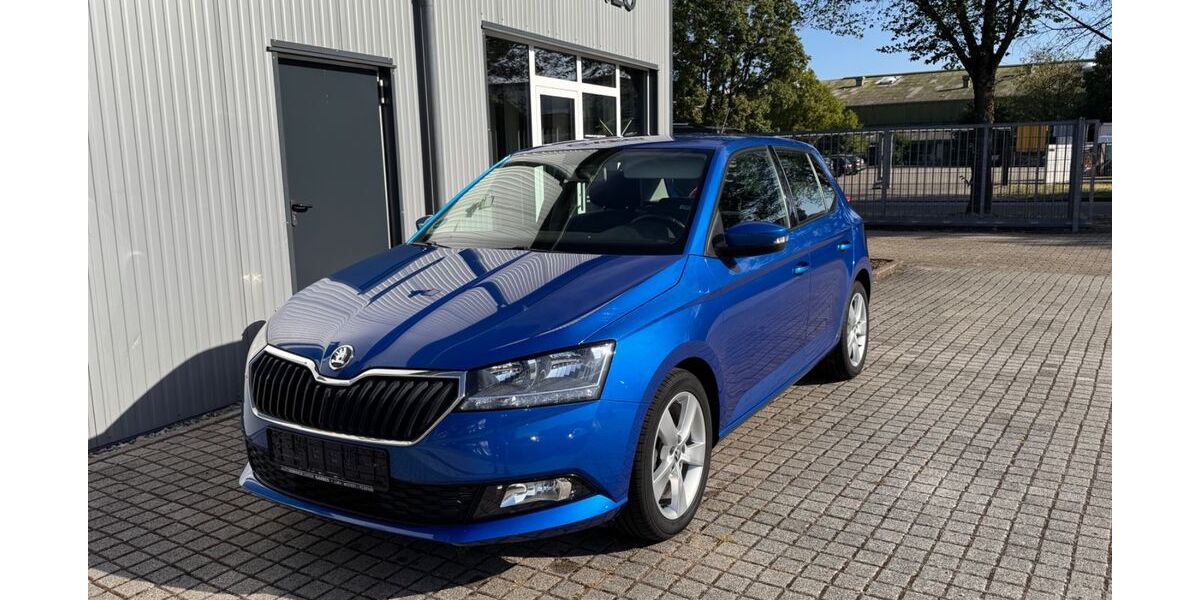 Skoda Fabia 23.800 km 12.500 &euro; Lahr 77933