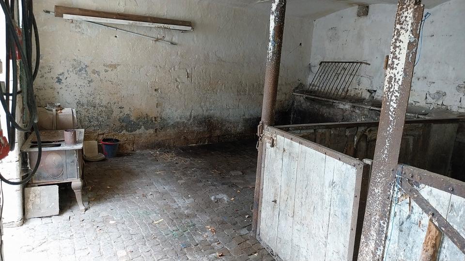 Mehrfamilienhaus, Wohnhaus Freyburg (Unstrut) - 11 Zimmer, 220 m&sup2;, 49.000&euro; | Angebot:26616924