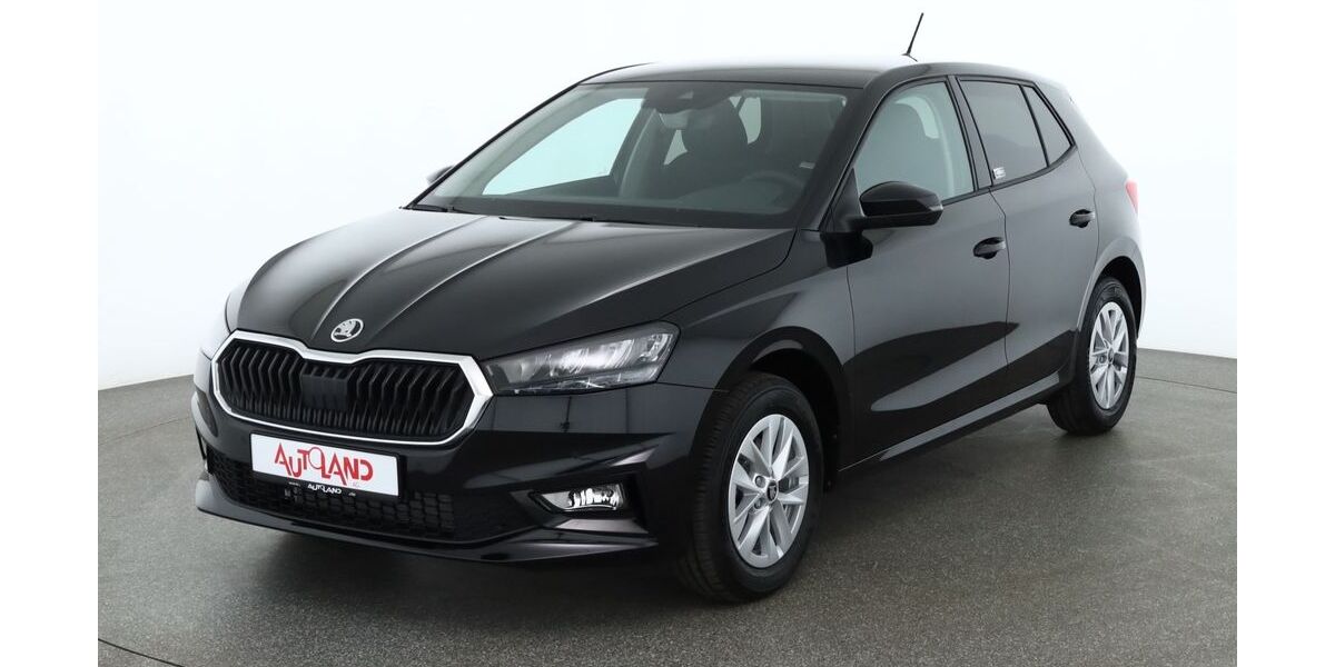 Skoda Fabia 29.130 km 19.950 &euro; Bautzen 02625