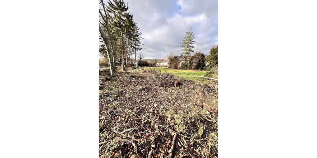 Grundstück Hilzingen - 339.000&euro; | Angebot:25686537