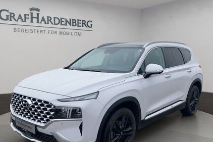 Hyundai SANTA FE 66.850 km 31.790 &euro; Landau 76829