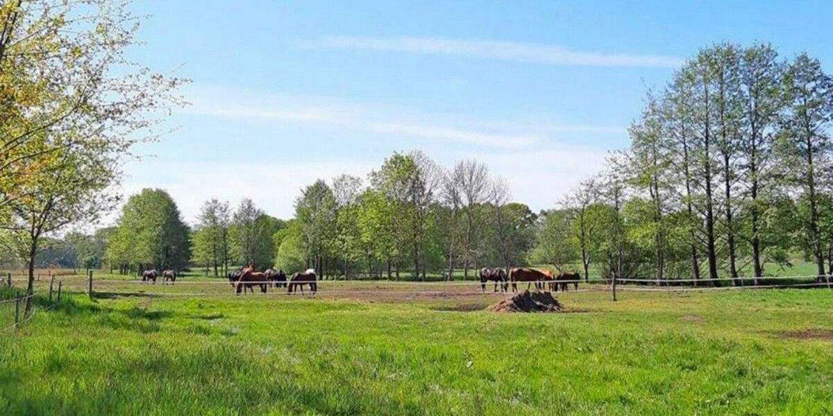 Mehrfamilienhaus, Wohnhaus Visselhövede Buchholz - 2 Zimmer, 28 m&sup2;, 69.900&euro; | Angebot:25692735