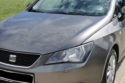 Seat Ibiza 179.000 km 5.500 &euro; Hermeskeil 54411