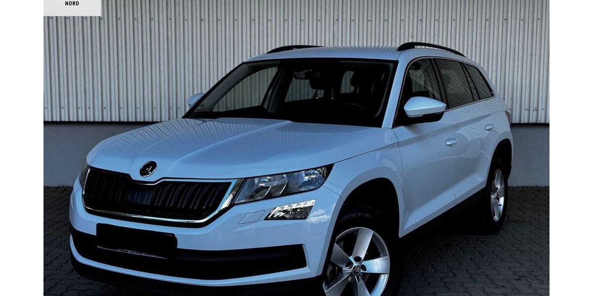Skoda Kodiaq 158.000 km 17.980 &euro; Hamburg 20539