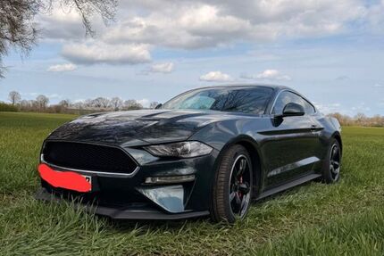 Ford Mustang 42.232 km 45.299 &euro; Wahlstedt 23812