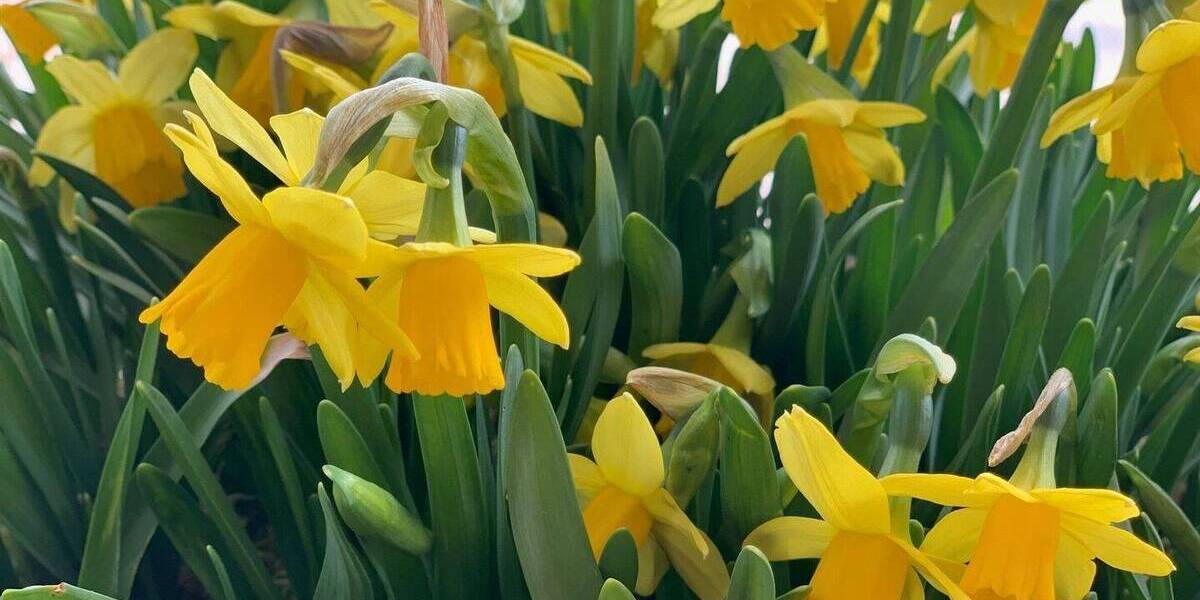 Etagenwohnung Lüneburg Neu Hagen - 3 Zimmer, 95 m&sup2;, 599.000&euro; | Angebot:25688389