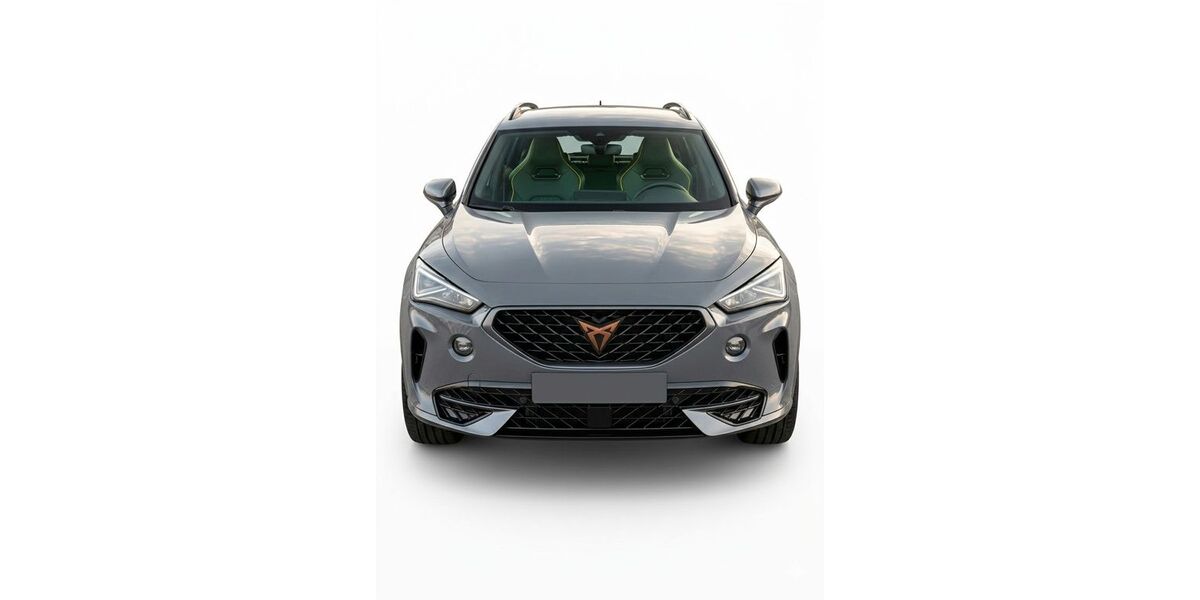 Cupra Formentor 48.700 km 22.900 &euro; Neustadt am Kulm 95514