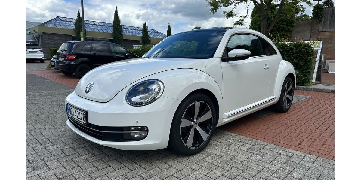 VW Beetle 162.000 km 7.600 &euro; Borken 46325