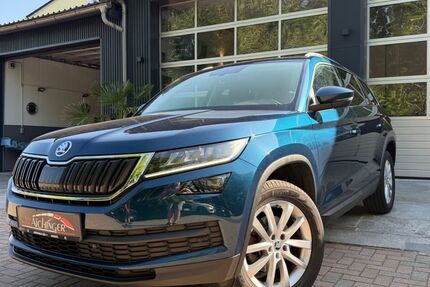 Skoda Kodiaq 137.500 km 20.999 &euro; Floß 92685