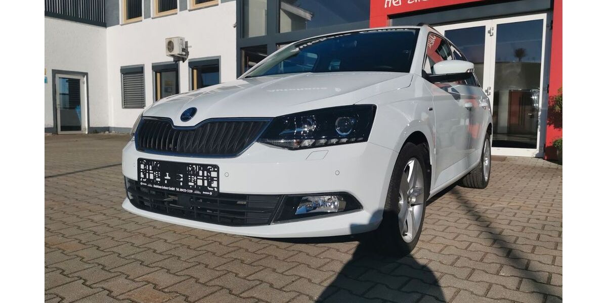 Skoda Fabia 46.605 km 12.490 &euro; Altfalter 92548